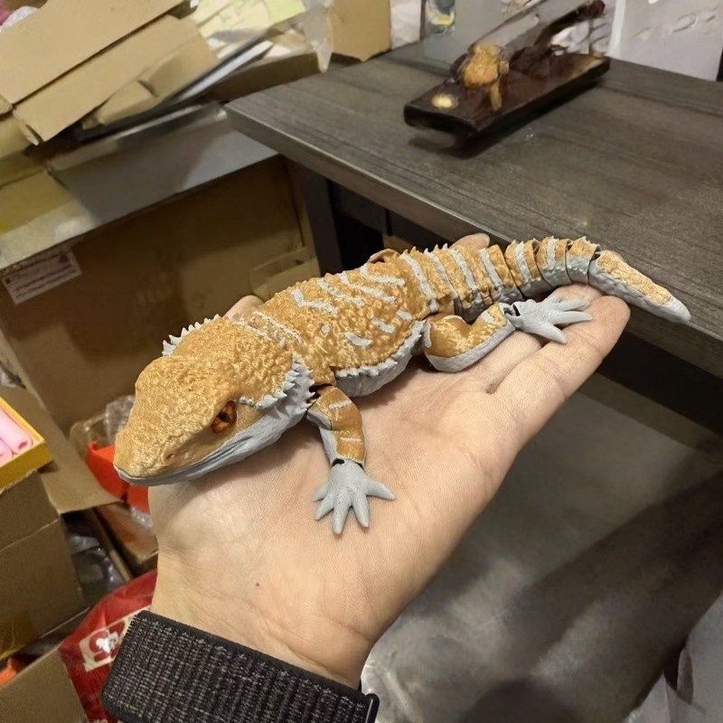 3D Printing Creative Crocodile - 3D Printing Lizard recension och pris