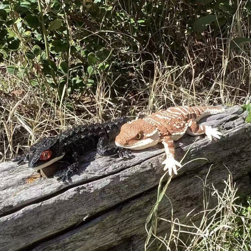 3D Printing Creative Crocodile - 3D Printing Lizard recension och pris